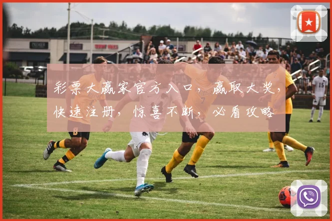 彩票大赢家官方入口，赢取大奖，快速注册，惊喜不断，必看攻略