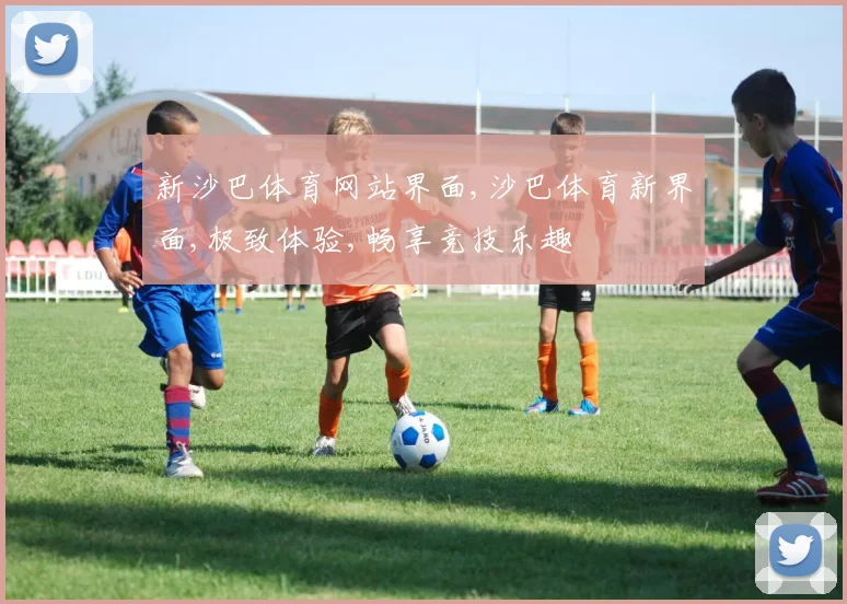 新沙巴体育网站界面,沙巴体育新界面,极致体验,畅享竞技乐趣