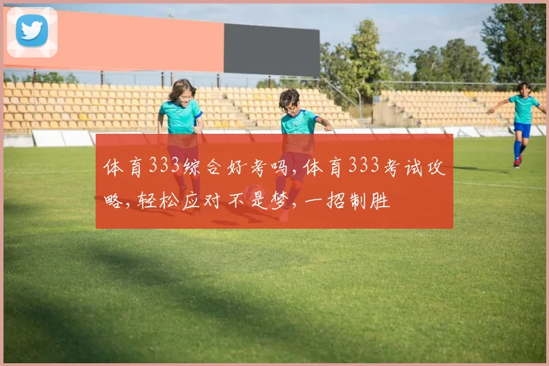 体育333综合好考吗,体育333考试攻略,轻松应对不是梦,一招制胜