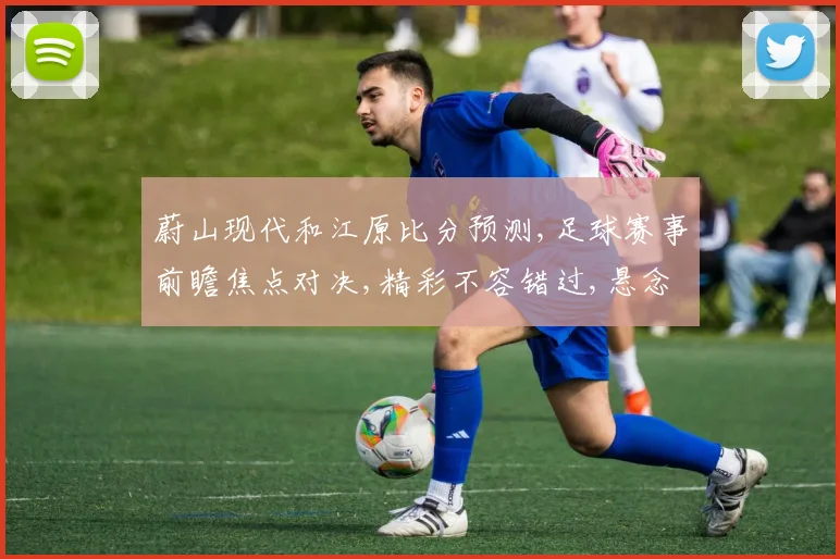 蔚山现代和江原比分预测,足球赛事前瞻焦点对决,精彩不容错过,悬念待解,谁将问鼎