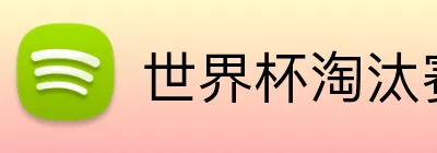 世界杯淘汰赛 Logo